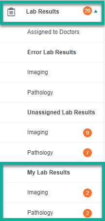Lab_Results_tab.png